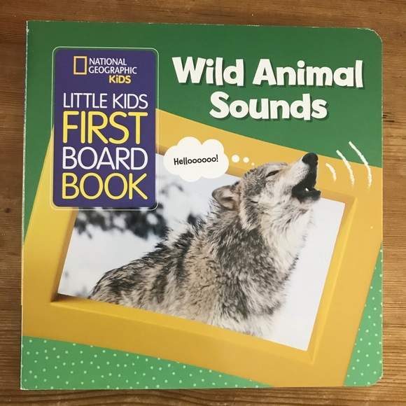 Board Books Lot 3 Panda Nat Geo Chicka Boom Alpha - Picture 7 of 14